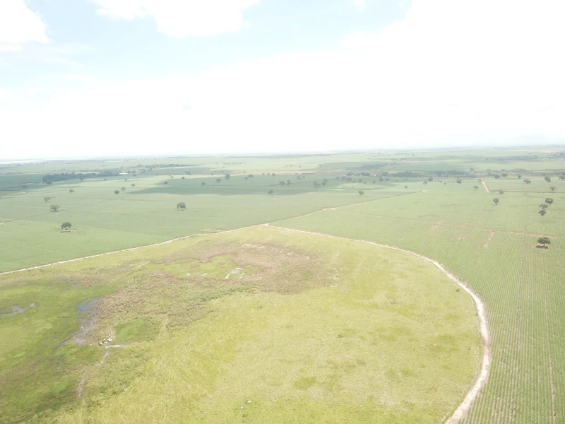 Consultoria em SIGCAR