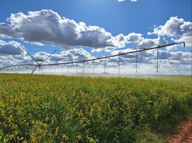 Elaboração de cadastro ambiental rural Goiás