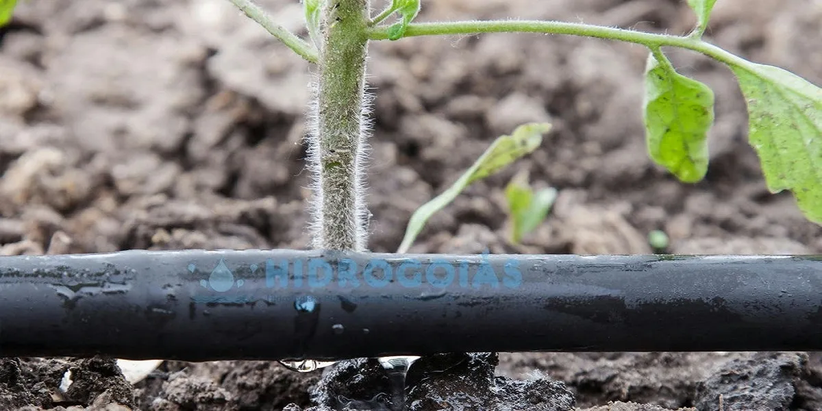 Licenciamento ambiental agropecuária