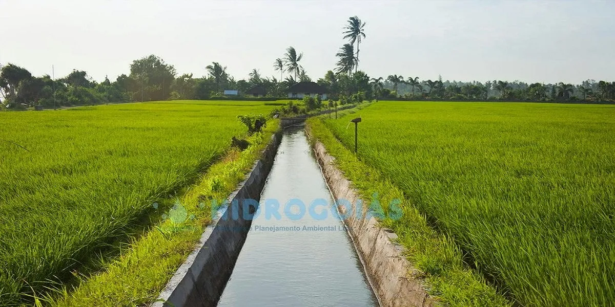 Outorga de água para irrigação